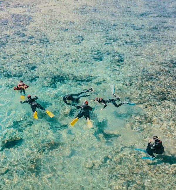 Snorkeling Cotillo