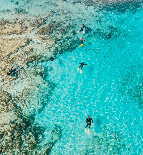 Snorkling fuerteventura